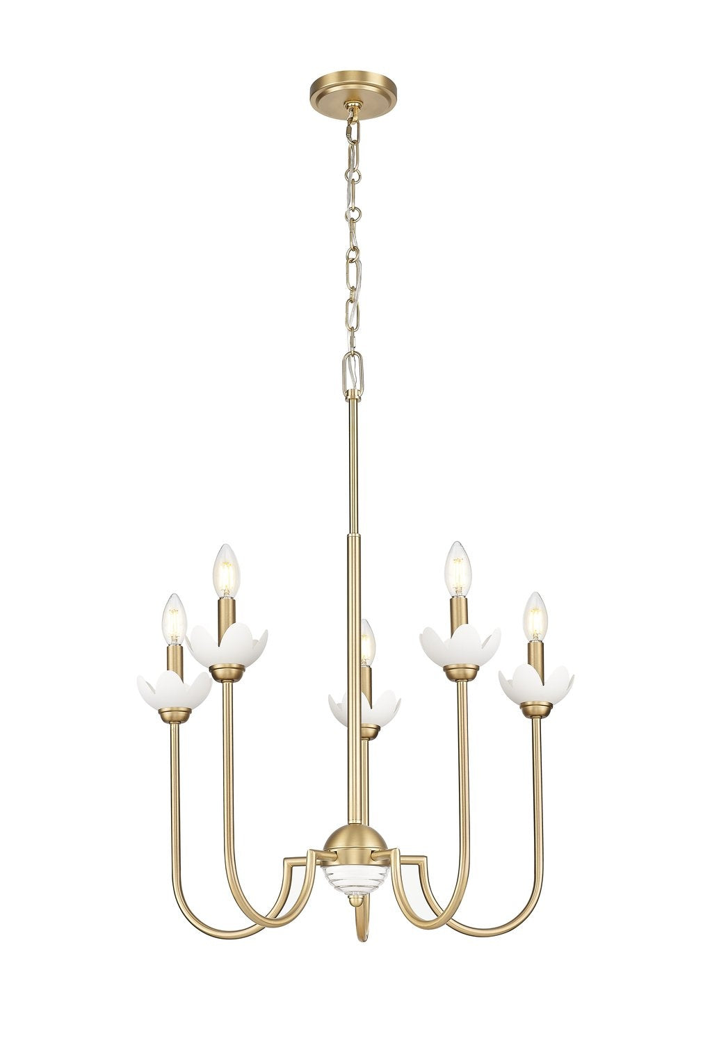 Z-LITE, ALLISTAIR CHANDELIER, CHANDELIER LIGHT