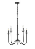 Z-LITE, ALLISTAIR CHANDELIER, CHANDELIER LIGHT