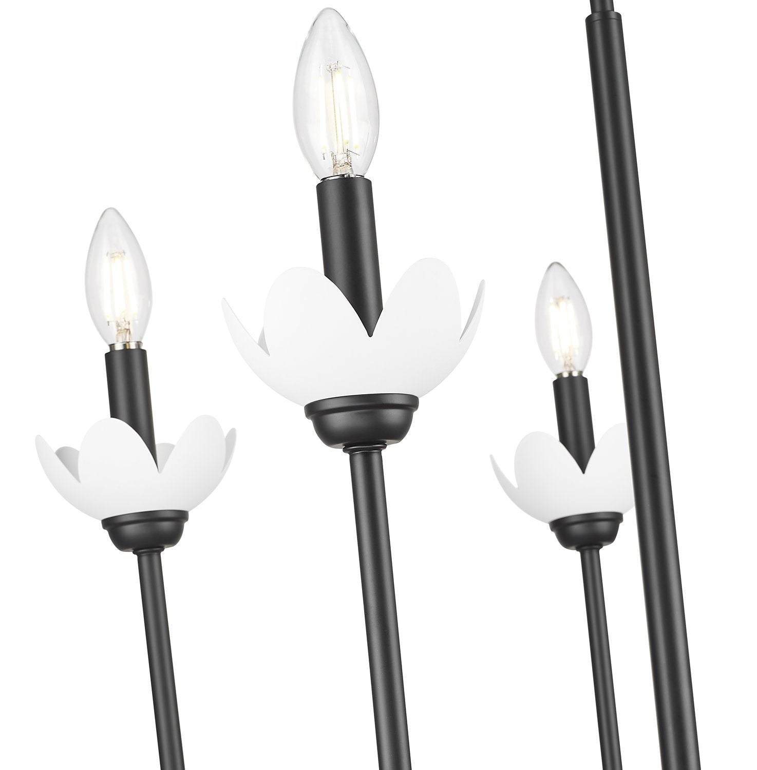 Z-LITE, ALLISTAIR CHANDELIER, CHANDELIER LIGHT