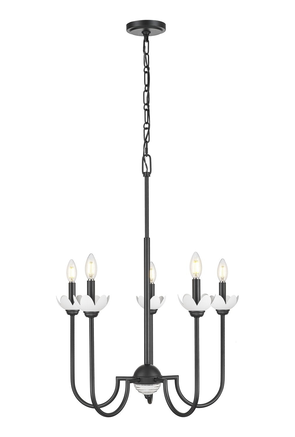 Z-LITE, ALLISTAIR CHANDELIER, CHANDELIER LIGHT