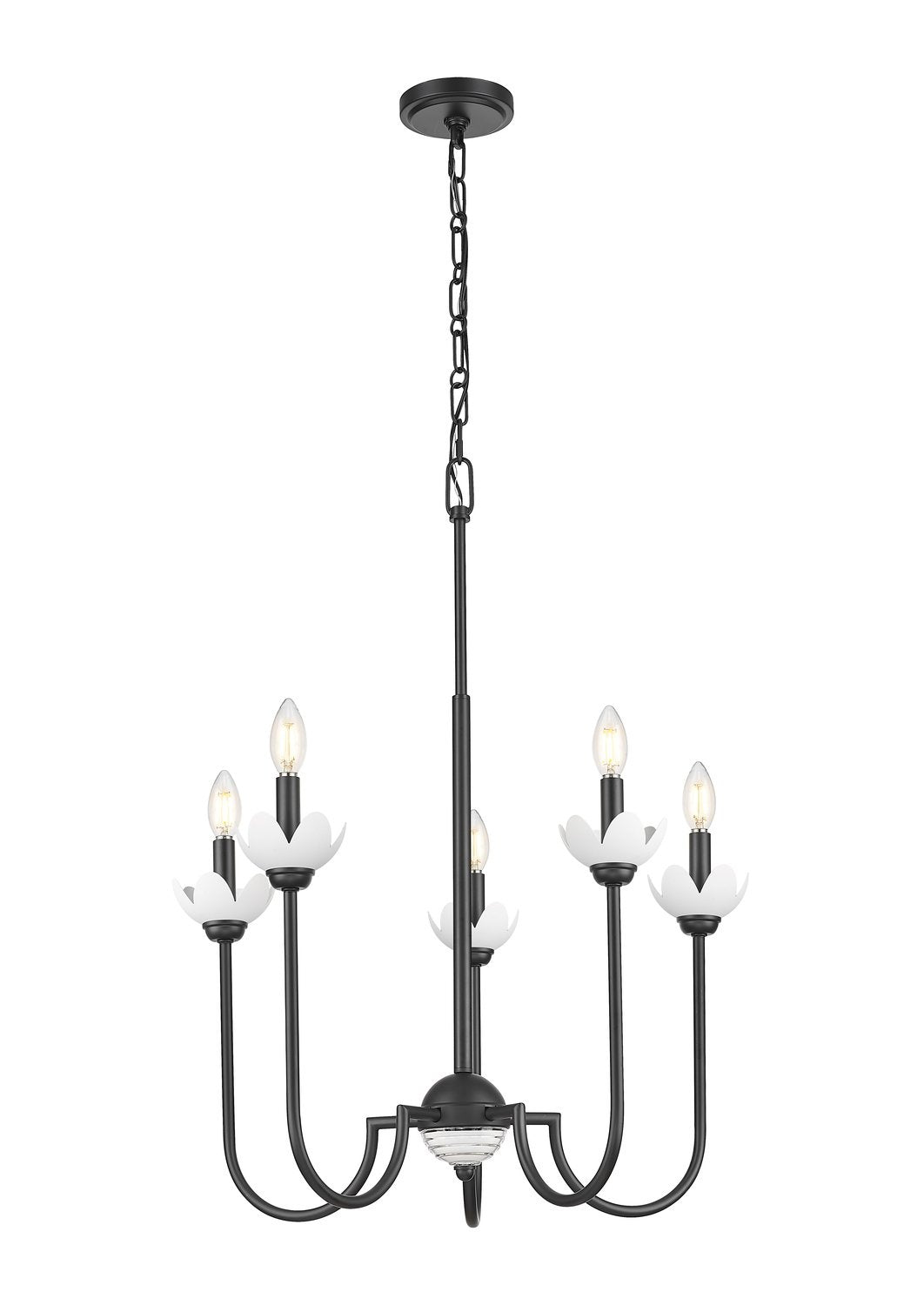 Z-LITE, ALLISTAIR CHANDELIER, CHANDELIER LIGHT