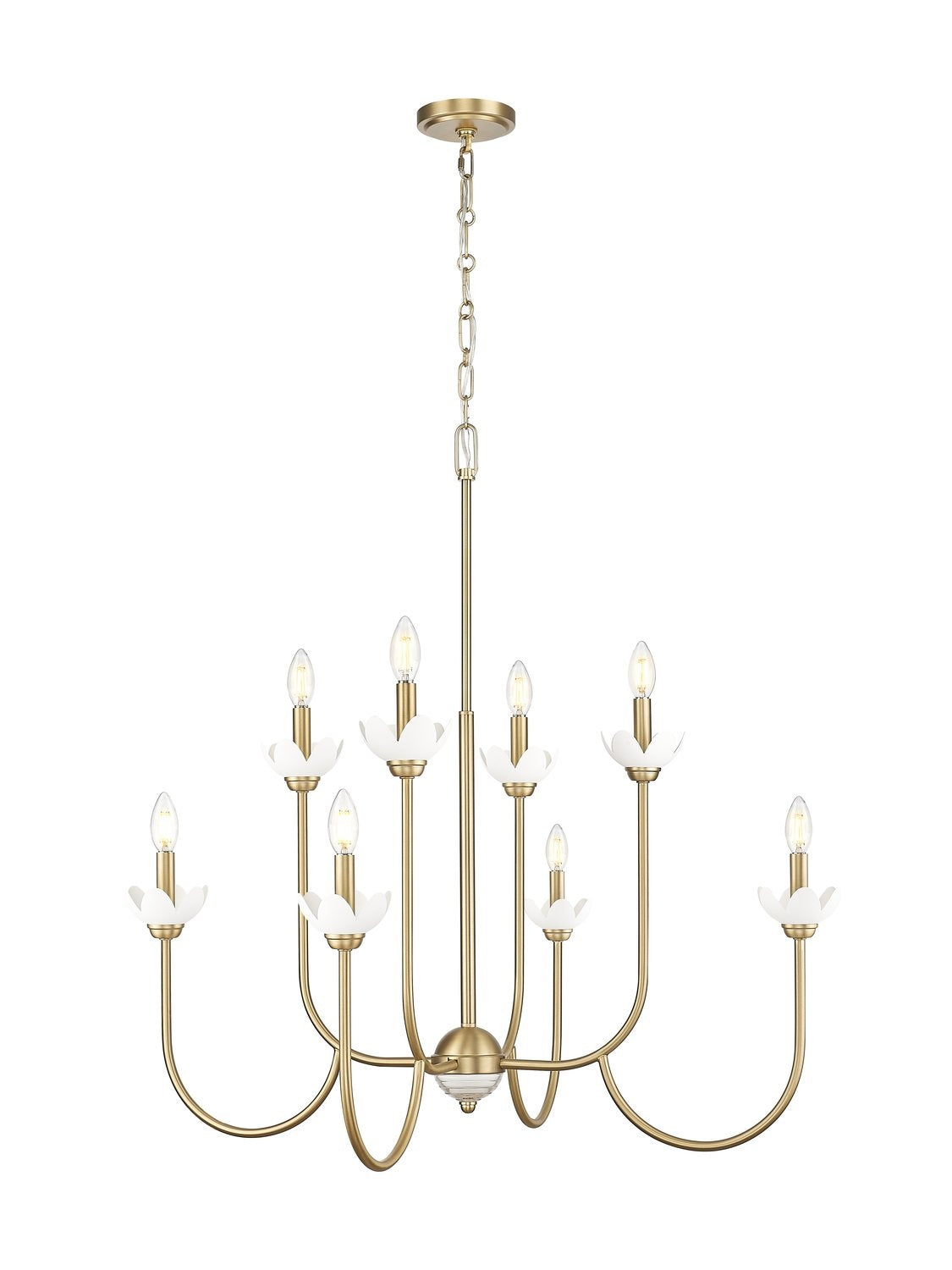 Z-LITE, ALLISTAIR CHANDELIER, CHANDELIER LIGHT