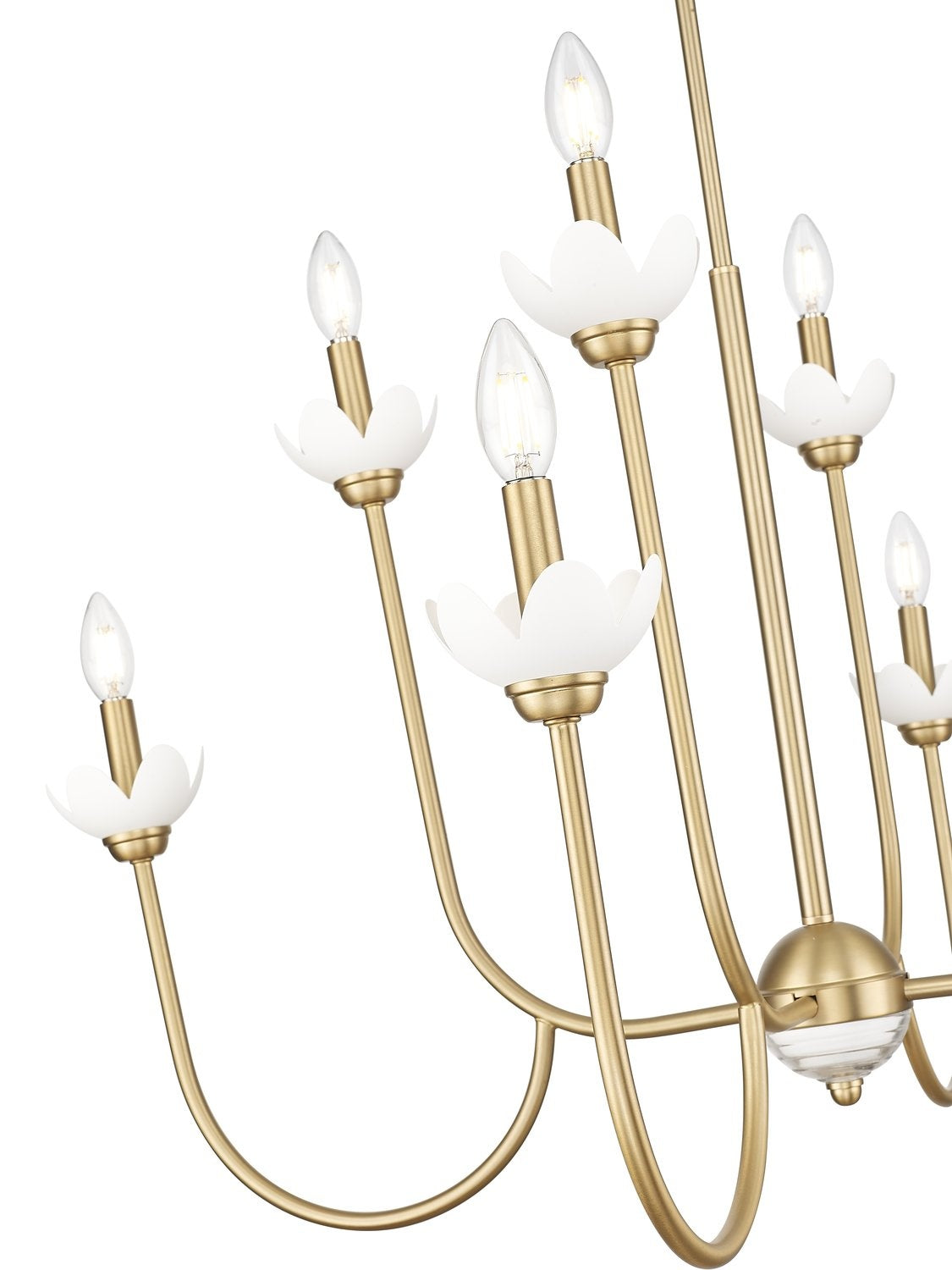 Z-LITE, ALLISTAIR CHANDELIER, CHANDELIER LIGHT