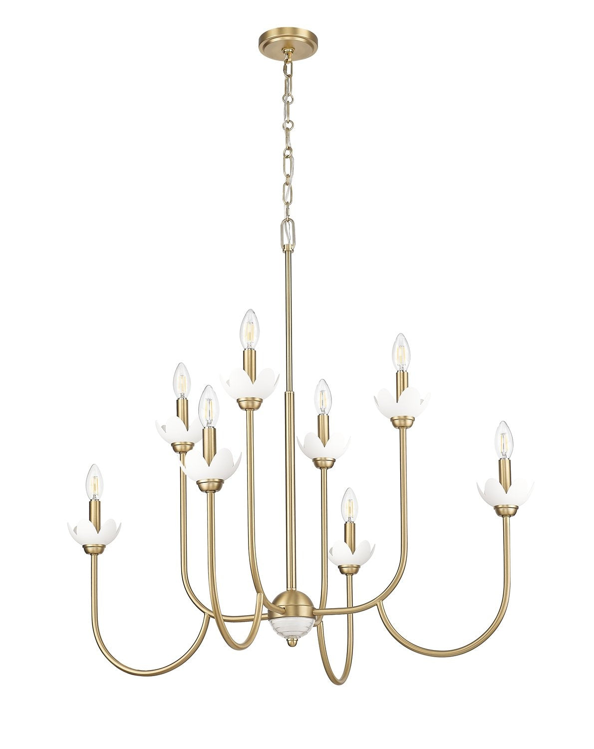 Z-LITE, ALLISTAIR CHANDELIER, CHANDELIER LIGHT