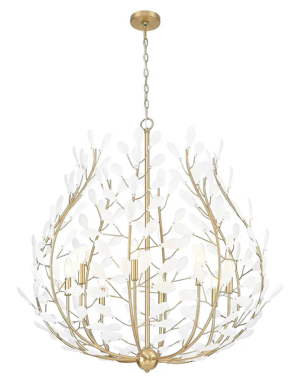 Z-LITE, CLAUDINE CHANDELIER, CHANDELIER LIGHT