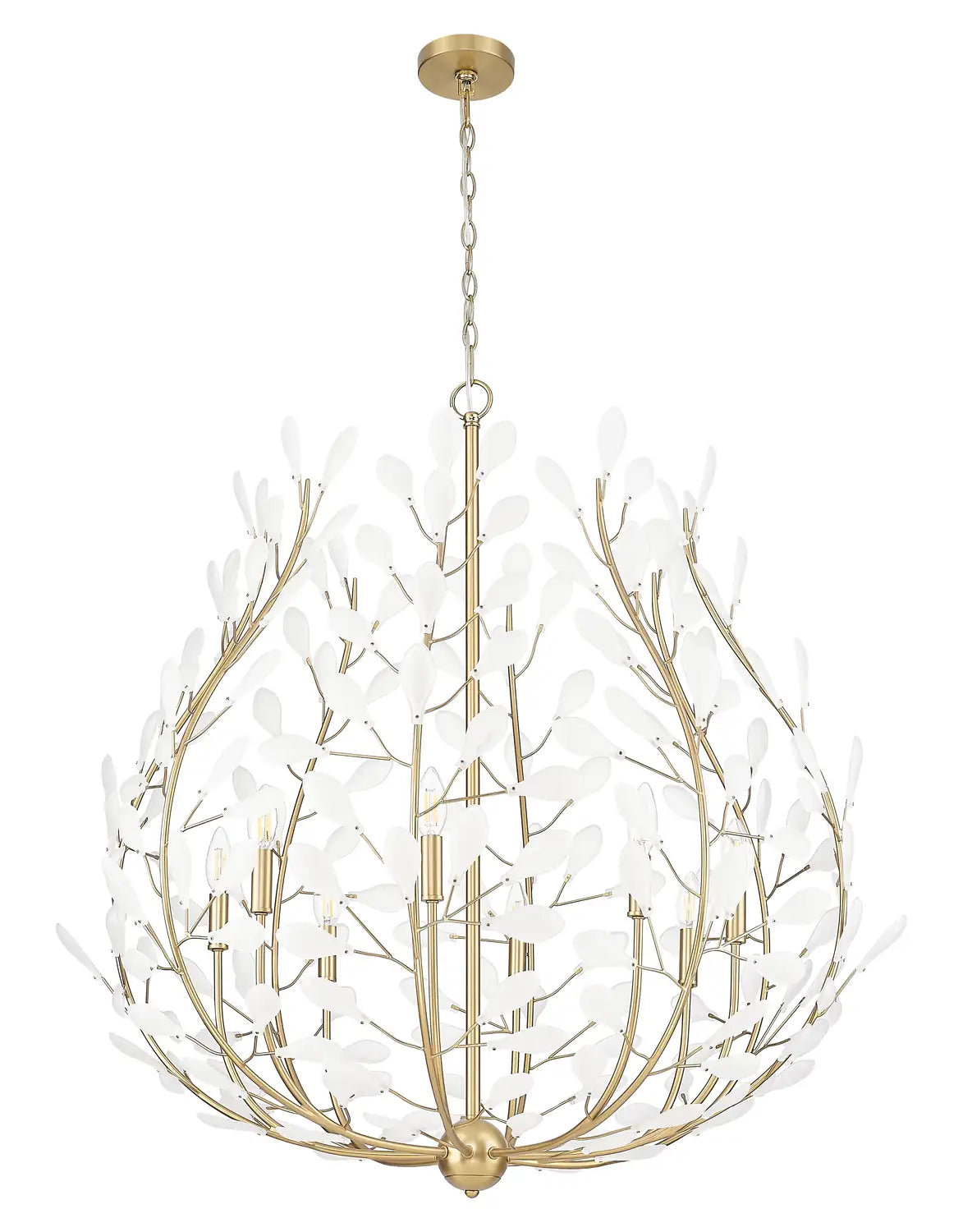 Z-LITE, CLAUDINE CHANDELIER, CHANDELIER LIGHT