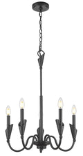 Z-LITE, CLAUDELLE CHANDELIER, CHANDELIER LIGHT