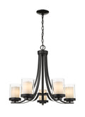 Z-LITE, WILLOW CHANDELIER, CHANDELIER LIGHT