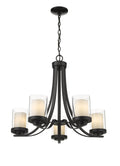 Z-LITE, WILLOW CHANDELIER, CHANDELIER LIGHT