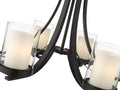 Z-LITE, WILLOW CHANDELIER, CHANDELIER LIGHT