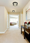Z-LITE, WILLOW FLUSH MOUNT, FLUSH MOUNT CEILING LIGHTS