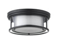 Z-LITE, WILLOW FLUSH MOUNT, FLUSH MOUNT CEILING LIGHTS