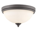 Z-LITE, BORDEAUX FLUSH MOUNT, FLUSH MOUNT CEILING LIGHTS