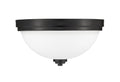 Z-LITE, ASHTON FLUSH MOUNT, FLUSH MOUNT CEILING LIGHTS