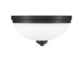 Z-LITE, ASHTON FLUSH MOUNT, FLUSH MOUNT CEILING LIGHTS