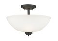 Z-LITE, ASHTON SEMI FLUSH MOUNT, SEMI FLUSH MOUNT LIGHT