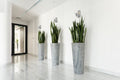 Z-LITE, BOHIN WALL SCONCE, WALL SCONCES