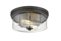 Z-LITE, BOHIN FLUSH MOUNT, FLUSH MOUNT CEILING LIGHTS