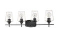 Z-LITE, JOLIET VANITY, VANITY LIGHT