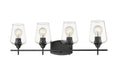 Z-LITE, JOLIET VANITY, VANITY LIGHT