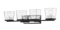 Z-LITE, BLEEKER STREET VANITY, VANITY LIGHT