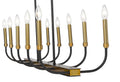 Z-LITE, HAYLIE LINEAR CHANDELIER, LINEAR LIGHT