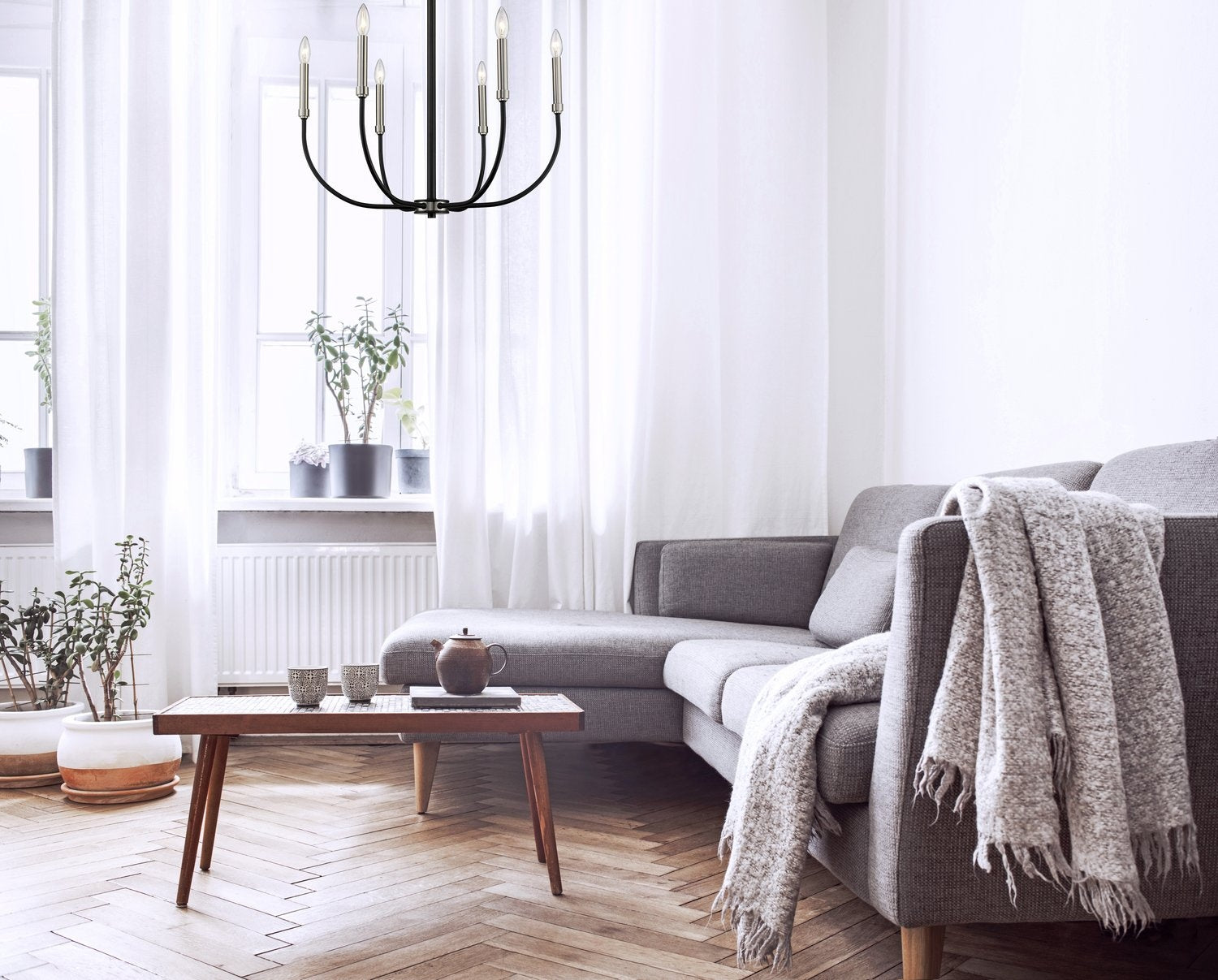 Z-LITE, HAYLIE CHANDELIER, CHANDELIER LIGHT