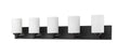 Z-LITE, SOLEDAD VANITY, VANITY LIGHT