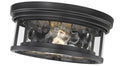 Z-LITE, CLARION FLUSH MOUNT, FLUSH MOUNT CEILING LIGHTS