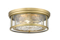 Z-LITE, CLARION FLUSH MOUNT, FLUSH MOUNT CEILING LIGHTS 