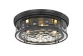 Z-LITE, CLARION FLUSH MOUNT, FLUSH MOUNT CEILING LIGHTS 