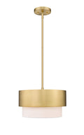 Z-LITE, COUNTERPOINT PENDANT, PENDANT LIGHT