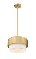 Z-LITE, COUNTERPOINT PENDANT, PENDANT LIGHT