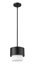 Z-LITE, COUNTERPOINT PENDANT, PENDANT LIGHT