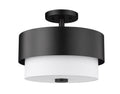 Z-LITE, COUNTERPOINT SEMI FLUSH MOUNT, SEMI FLUSH MOUNT LIGHT