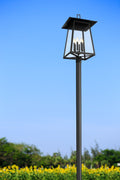 Z-LITE RAINER 6 LIGHT OUTDOOR POST MOUNTED FIXTURE | 5015PHXXLR-511P-BK - Post