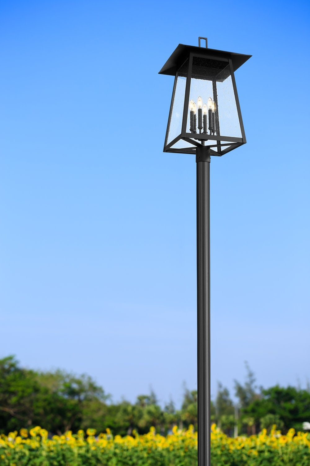 Z-LITE RAINER 6 LIGHT OUTDOOR POST MOUNTED FIXTURE | 5015PHXXLR-511P-BK - Post