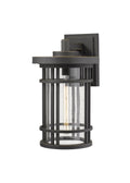 Z-LITE, JORDAN OUTDOOR WALL LIGHT, OUTDOOR WALL LIGHTS