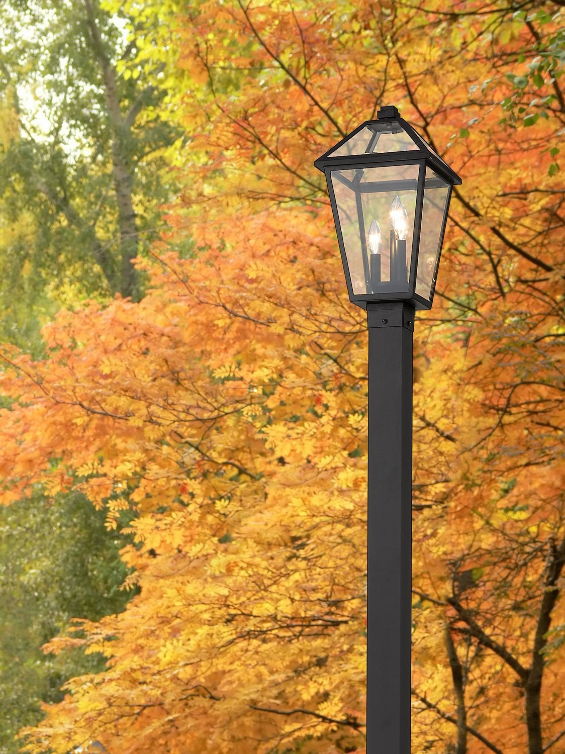 Z-LITE TALBOT OUTDOOR POST MOUNTED FIXTURE | 579PHBS-536P-BK - Post