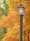 Z-LITE TALBOT OUTDOOR POST MOUNTED FIXTURE | 579PHBS-536P-ORB - Post