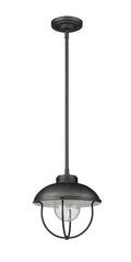 Z-LITE, ANSEL OUTDOOR PENDANT, OUTDOOR CEILING LIGHTS