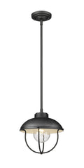 Z-LITE, ANSEL OUTDOOR PENDANT, OUTDOOR CEILING LIGHTS