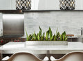 Z-LITE, DEALEY CHANDELIER, CHANDELIER LIGHT