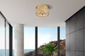 Z-LITE, DEALEY FLUSH MOUNT, FLUSH MOUNT CEILING LIGHTS