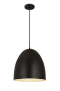 Z-LITE, Z-STUDIO PENDANT, PENDANT LIGHT