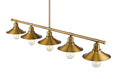 Z-LITE, CASA LINEAR CHANDELIER, LINEAR LIGHT