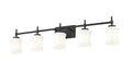 Z-LITE, CADOC VANITY, VANITY LIGHT
