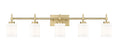 Z-LITE, CADOC VANITY, VANITY LIGHT