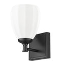 Z-LITE, OREN VANITY, VANITY LIGHT
