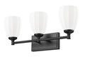 Z-LITE, OREN VANITY, VANITY LIGHT